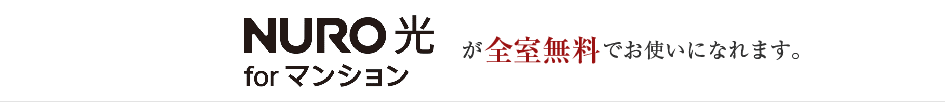 Bフレッツインターネットが全室無料でお使いになれます。